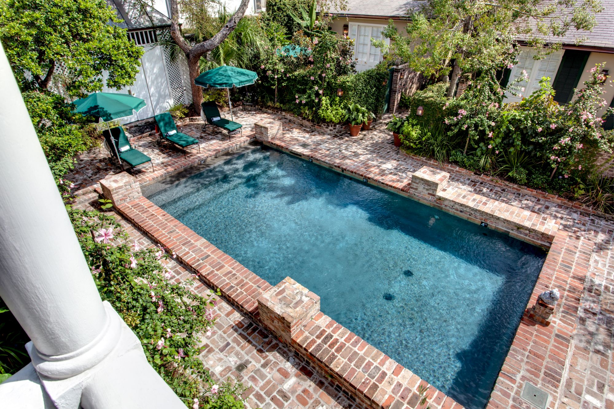 A rectangular brick-lined pool surrounded by lush greenery and four green lounge chairs with umbrellas in a backyard setting.
