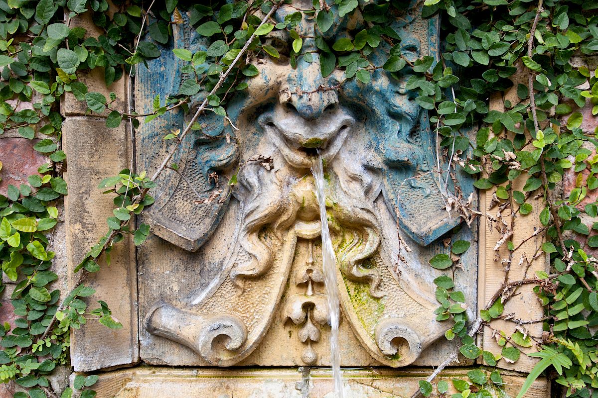 A stone fountain with ornate design, featuring a face, overgrown with green ivy, with water streaming from the mouth.