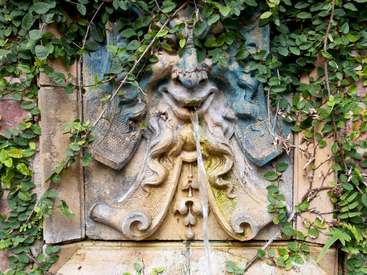 A stone fountain with ornate design, featuring a face, overgrown with green ivy, with water streaming from the mouth.