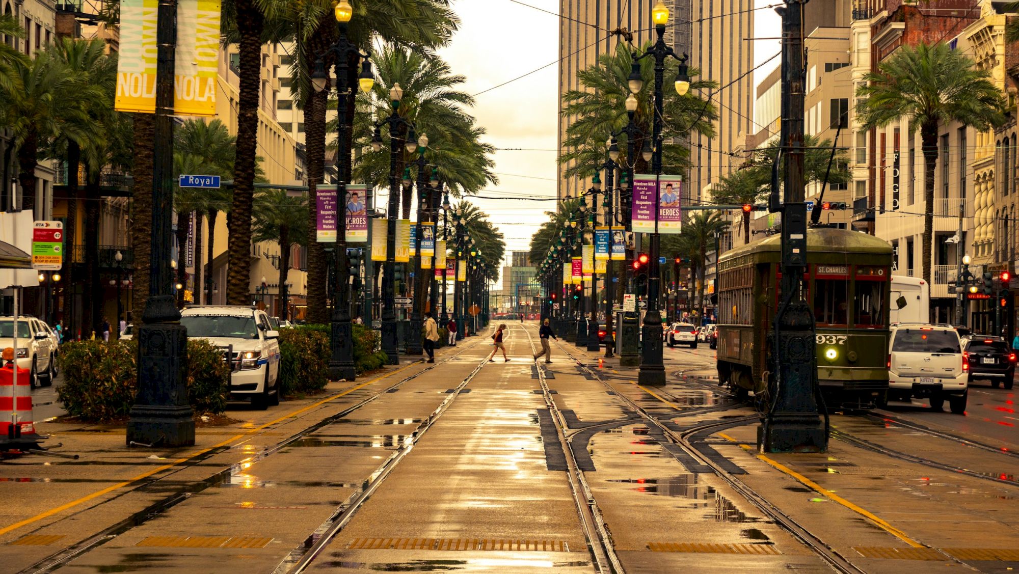 A streetcar travels down a palm-lined avenue in a city, with wet tracks reflecting lights and surrounding buildings.