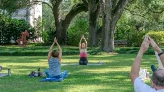 People doing yoga outdoors on mats in a grassy park, raising their arms in a tree pose under trees.